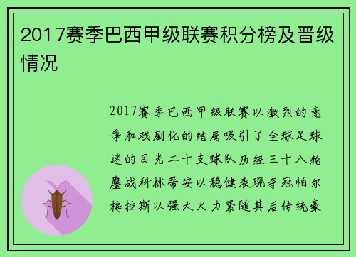 2017赛季巴西甲级联赛积分榜及晋级情况