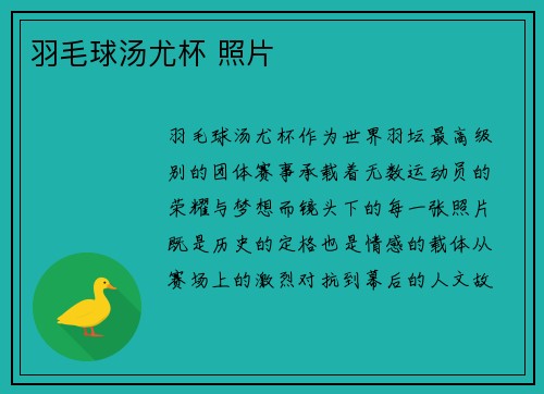 羽毛球汤尤杯 照片